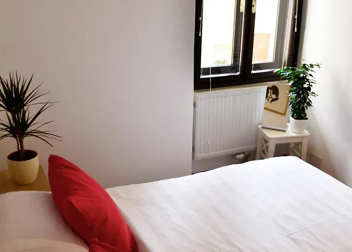 Apartamento In Center