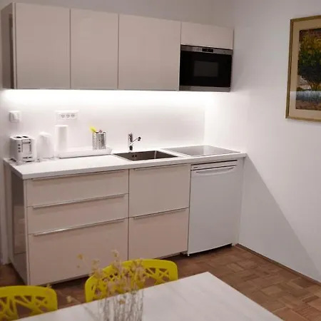 卢布尔雅那中心一室公寓酒店 *