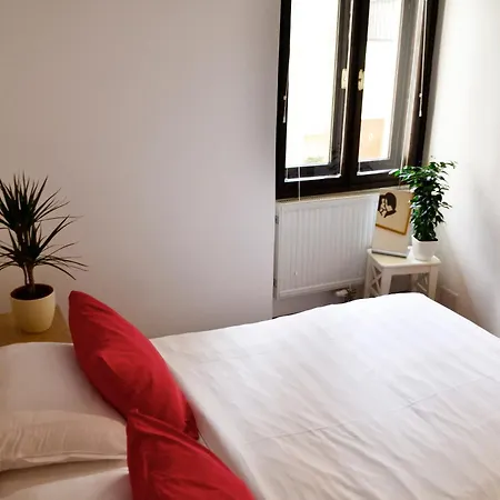 公寓 卢布尔雅那中心一室公寓酒店