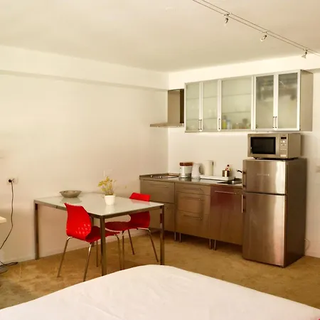 公寓 卢布尔雅那中心一室公寓酒店