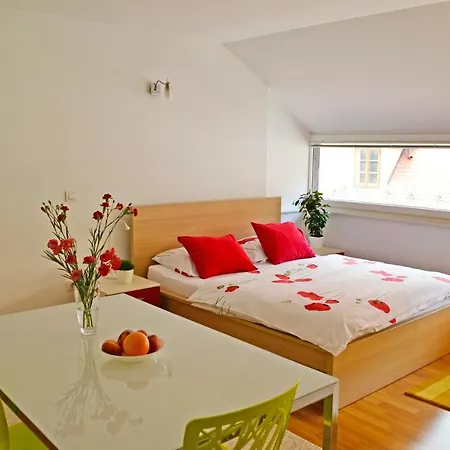 卢布尔雅那中心一室公寓酒店 * 卢布尔雅那