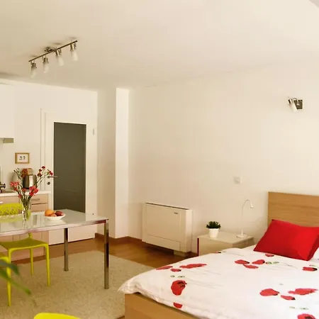 卢布尔雅那中心一室公寓酒店 公寓 卢布尔雅那