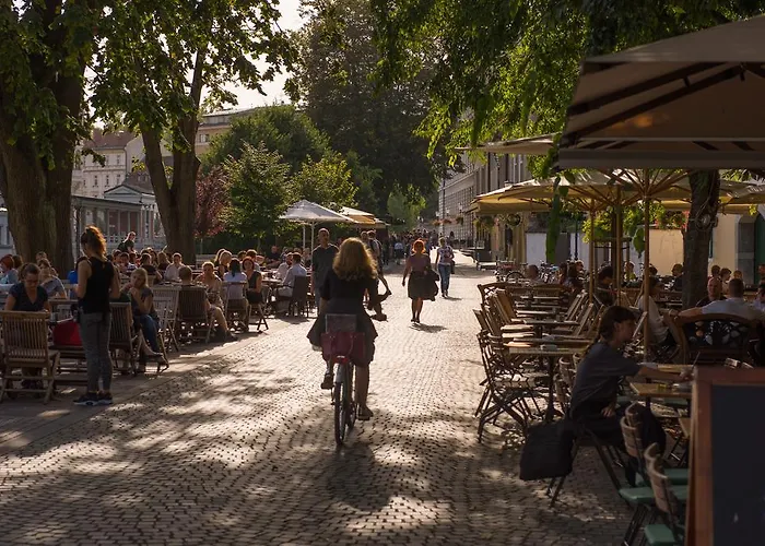 Lägenhet In Center *